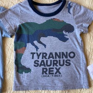 3T Boys Dino t-shirt bundle